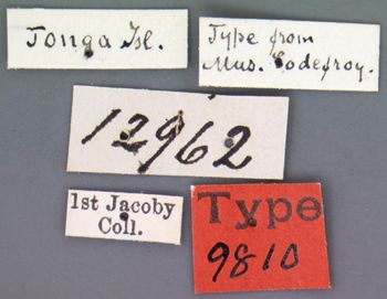 Media type: image; Entomology 9810   Aspect: labels